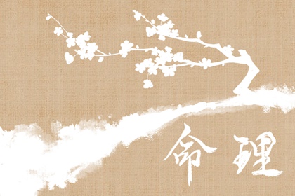 2017年1月日历|2019年四月日历|1962年日历